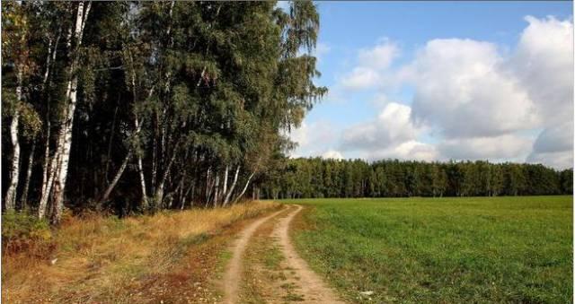 Земельный участок под дачное строительство, 15 сот Москва