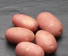 Кубанский молодой картофель Новосибирск