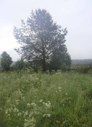 Дом с участком в Новгородской области Окуловка