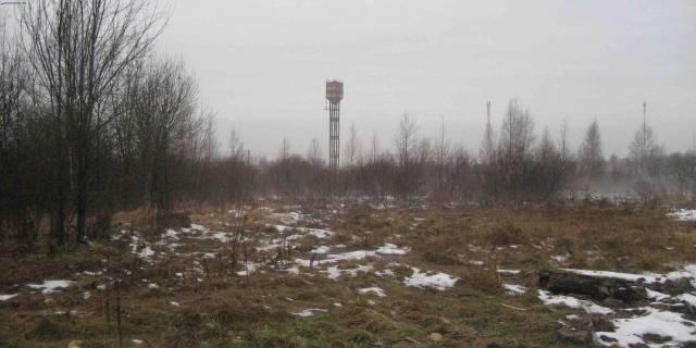 Участки от 2 до 10 га  Всеволожский р-н, Вартемяги Санкт-Петербург