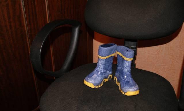 Резиновые сапожки Москва