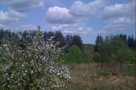 Участок рядом с озером Плещеево ижс Переславль-Залесский