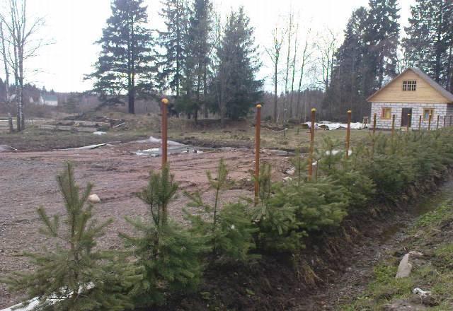 Великолепные 30 соток с гостевым домом Санкт-Петербург
