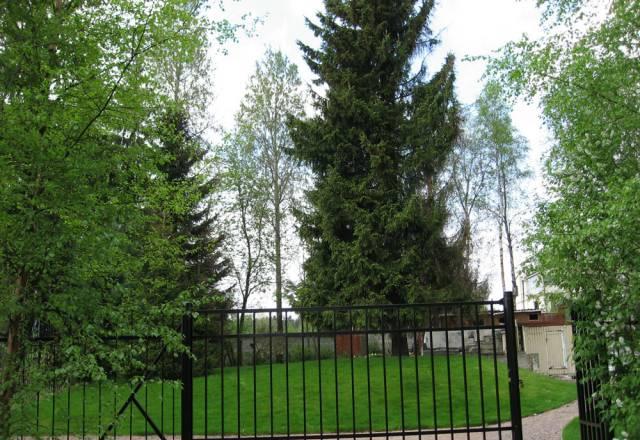 Участок 15 соток Выборгский р-н Санкт-Петербург