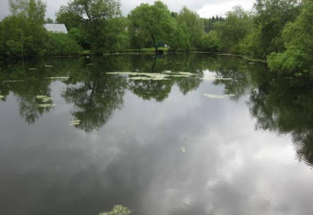 Участок в д.Ореховка Балабаново