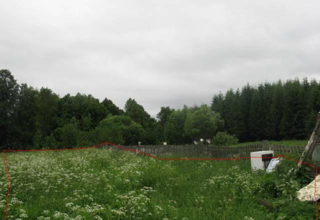 Участок по границе с лесом Александров