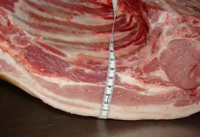 Свинина 1 категории (беконная) Москва