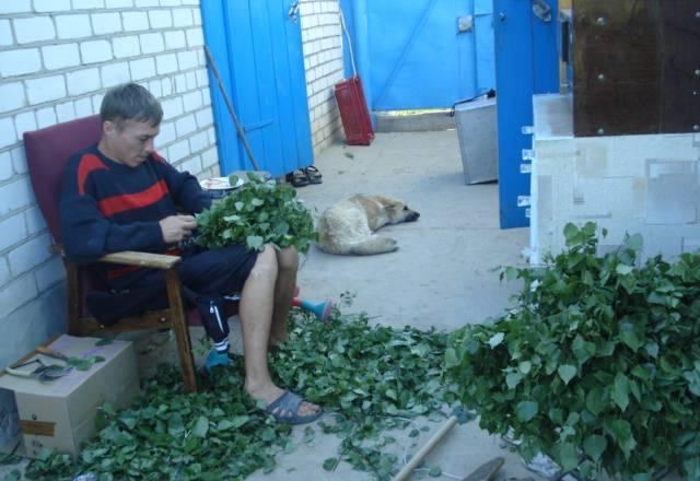 Банные веники Ноябрьск