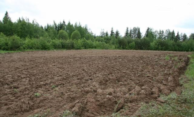 Охота на медведя Москва