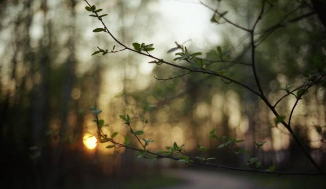 Скрипка-уроки, обучение игре. цао Москва