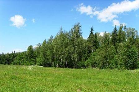 Участок ижс 10 соток 23 км от МКАД Калужское ш Москва