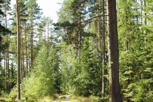 Земля по 8-20 соток на Киевском шоссе 12 км Москва