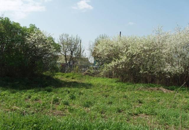 Участок,на берегу реки,газ,свет,сад.Новорязанка 65 Москва