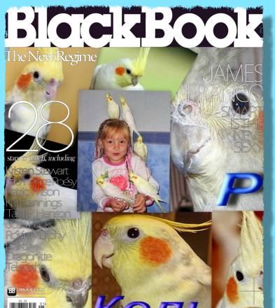 Корелла и др. виды попугаев. Клетки Москва