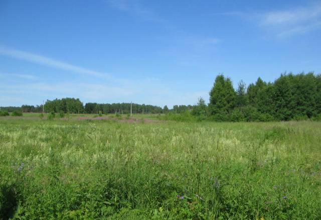 Шикарный участок в деревне Киржачского р-на Киржач