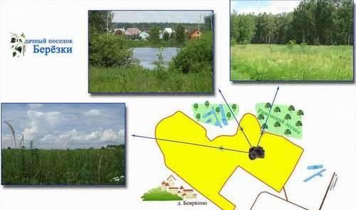 10 соток у леса на берегу озера 450т.р. в Раменско Москва