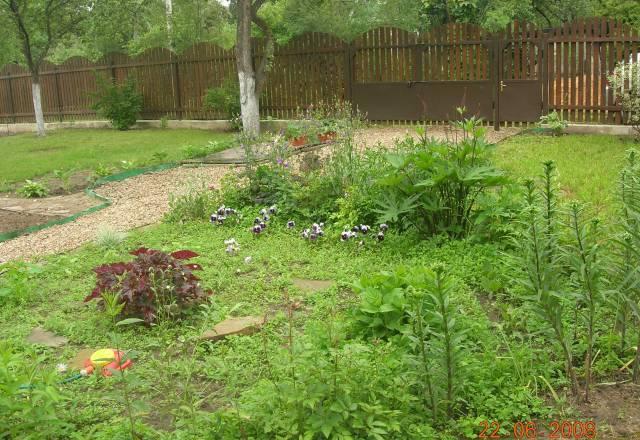 Пмж участок 37 соток Москва