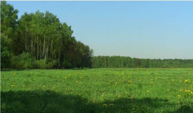 Участок, Волоколамское ш., 12 км Москва