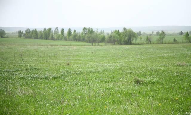 12 соток Хапо-Ое (14 км спб) Всеволожск