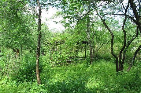 Продам садовый участок 6 соток Симферопо Москва