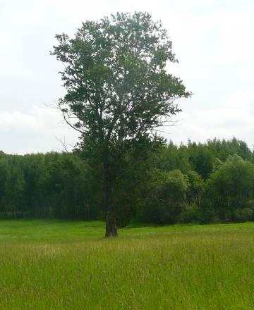 Участок 6 соток 10км от МКАД  по Егорьевскому ш Москва