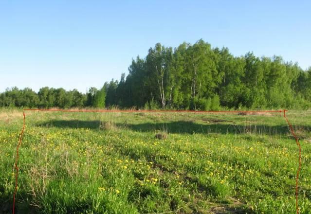 Участок в деревне напротив водоема Александров