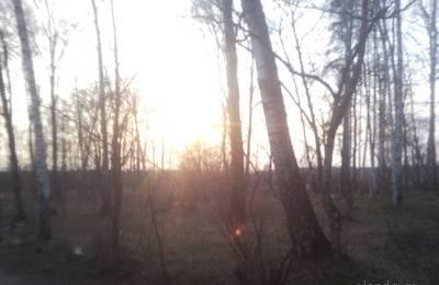 Ярославское шоссе Участок Москва