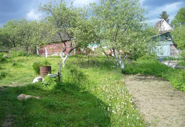Участок в садоводстве "Вектор" Сосново