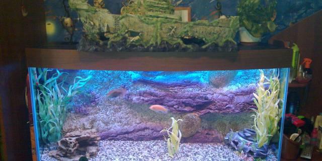 Объемный фон red sea 120x50. грот корабль Москва