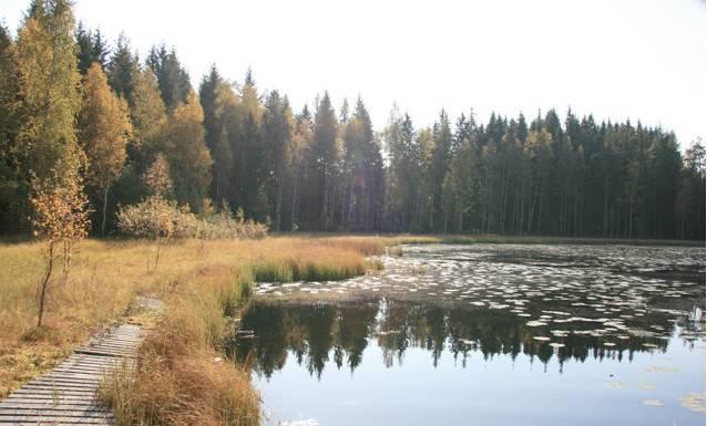 Участок 18 Га в Virolahti, Финляндия Санкт-Петербург