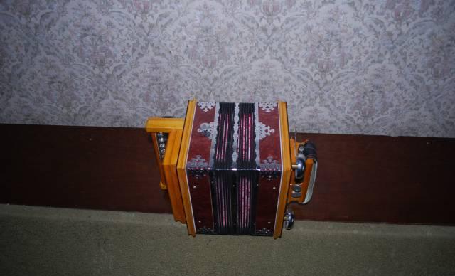 Гармонь Саратовcкая Москва