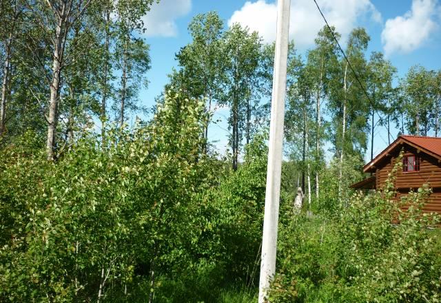 Участок в Новой Ропше в садоводстве Санкт-Петербург