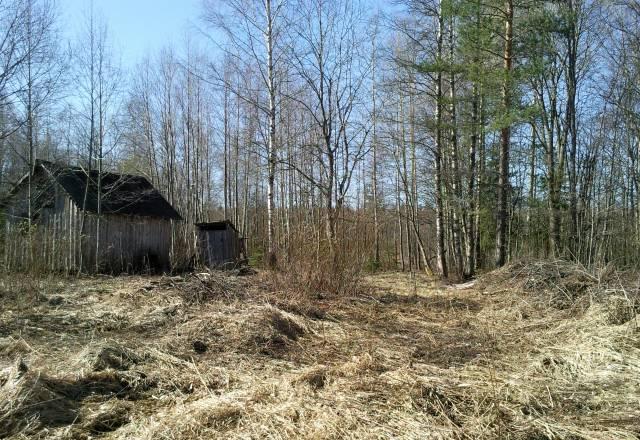 Выборгск.р-н,п.Синицыно,ижс,10сот.900т.р Выборг