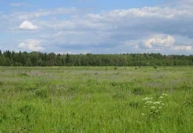 25 соток во Владимирской обл Москва