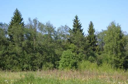 40с. в д.Скугорово.  Газ и эл-во Наро-Фоминск