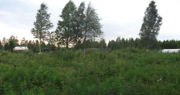 Участок в Рахье Всеволожск