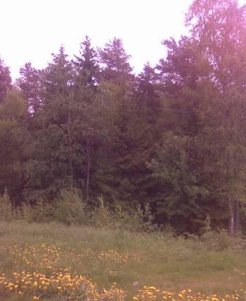 Продам участок Всеволожск