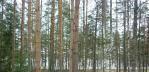 Колосково, земельный участок Приозерск