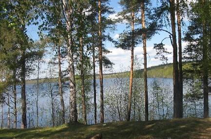 Продается участок 20 соток в п.Лосево Санкт-Петербург