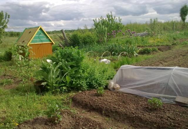 Деревенский дом, бревенчатый Переславль-Залесский