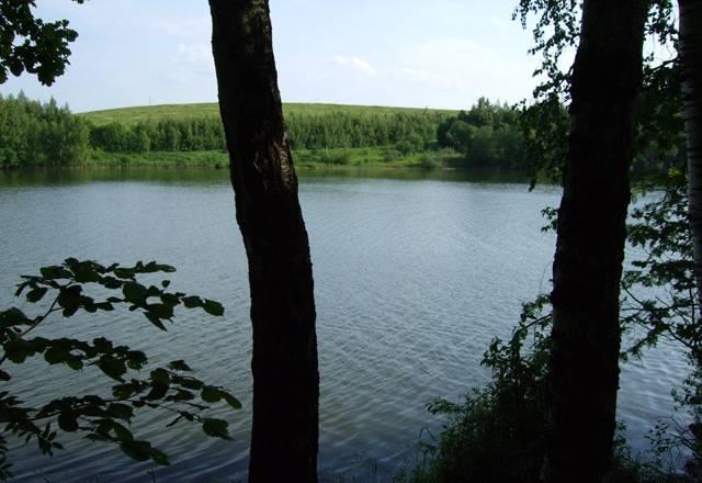 Участок 10 соток, есть смежные Москва