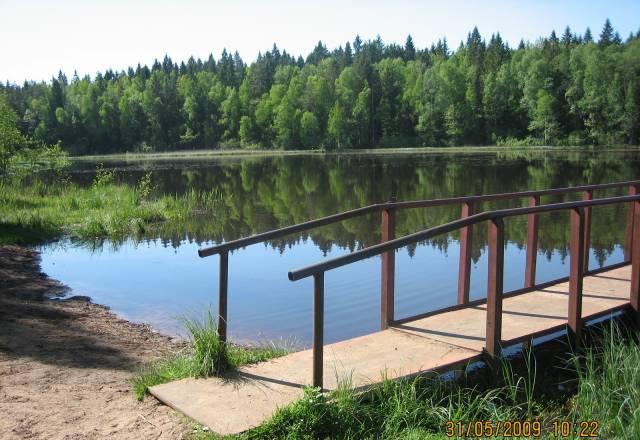 Дача в Кирилловском Санкт-Петербург