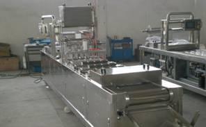 Автоматическая формовочная фасовочная упаковочная Владивосток