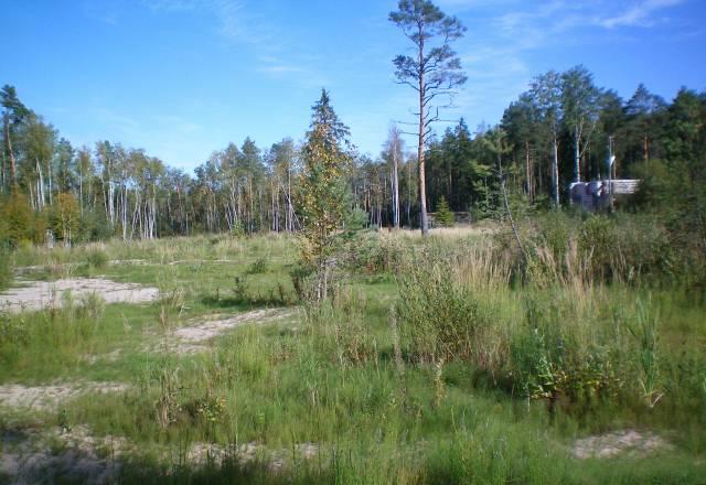 Участок, земля на берегу Онежского озера Петрозаводск