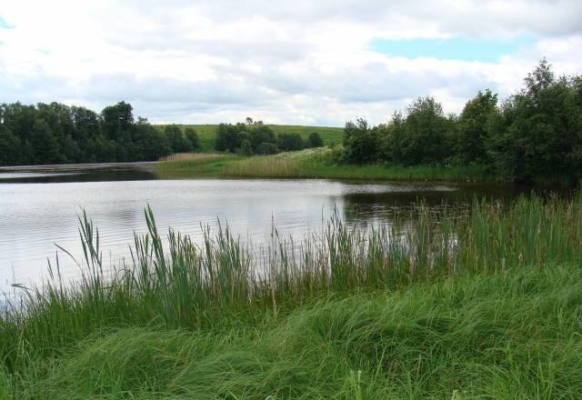 Новориж ш земельный уч- к 15 сот в деревне/пмж Москва