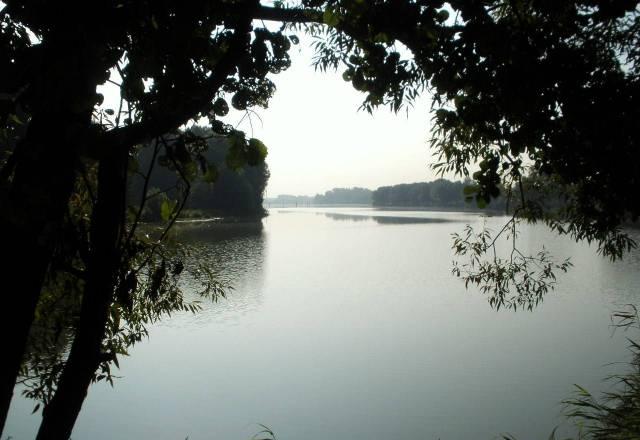 Носовихинское ш. Старая Купавна, участок с домом Москва