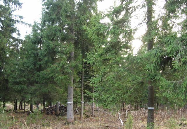 Продается  участок 20 сот. , к Москва