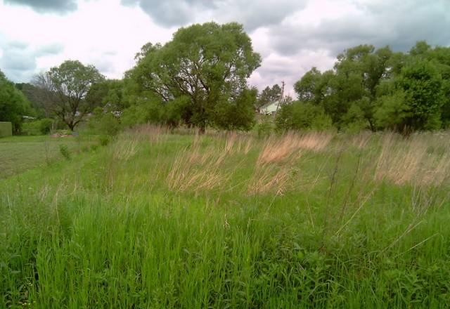 Земельный участок волоколамский район Москва
