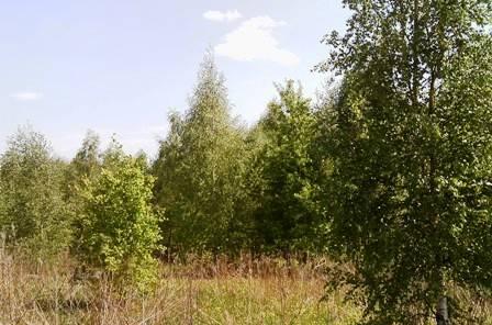 25 соток +свет 15 кВт+газ+ лесные деревья+пмж Москва