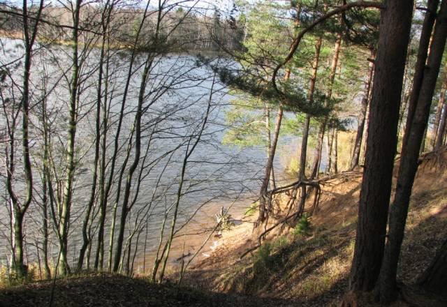 Луга, 4 Га, около озера Санкт-Петербург